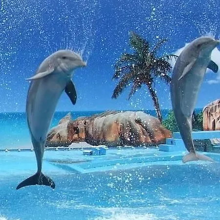 Mit Terrasse By Interhome *