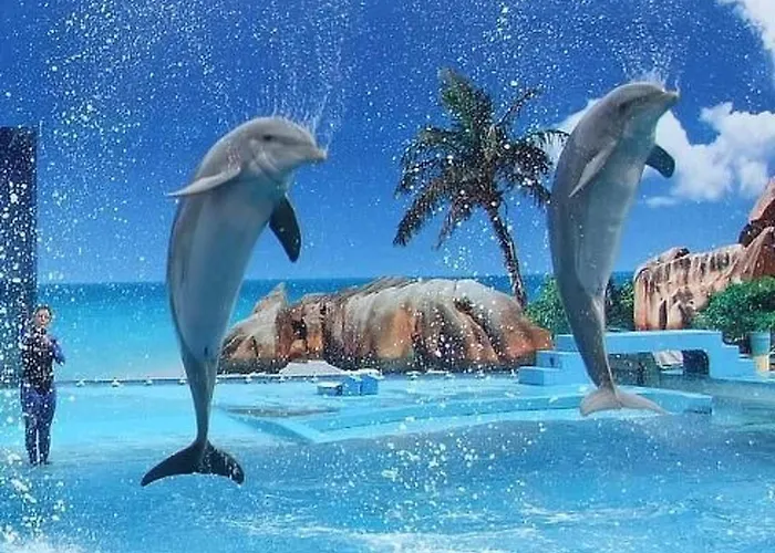 Mit Terrasse By Interhome *